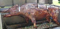 Wildschwein am Spieß aus der Schorfheide Wildschwein am Spieß aus der Schorfheide